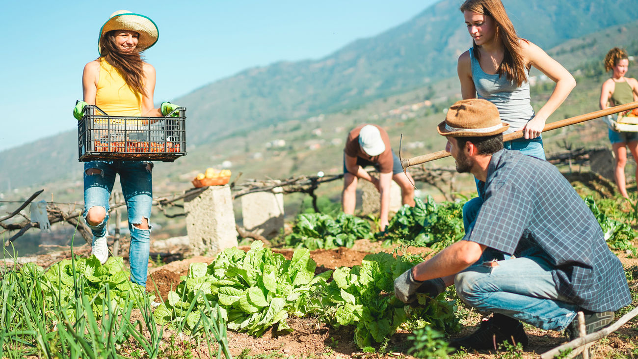 Jóvenes emprendedores en entorno rural